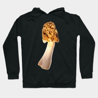 Early morel (Verpa bohemica) Hoodie